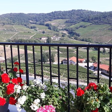 Domaine Du Coteau Des Lys Hotel Fleurie Kültér fotó