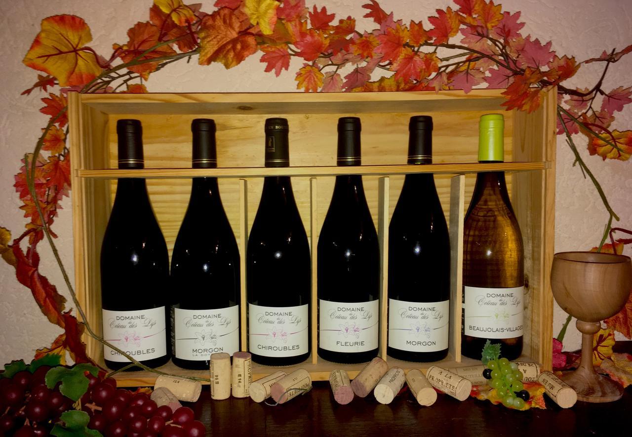 Domaine Du Coteau Des Lys Hotel Fleurie Kültér fotó