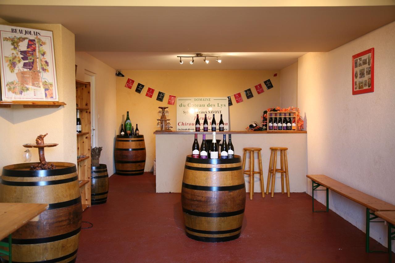 Domaine Du Coteau Des Lys Hotel Fleurie Kültér fotó