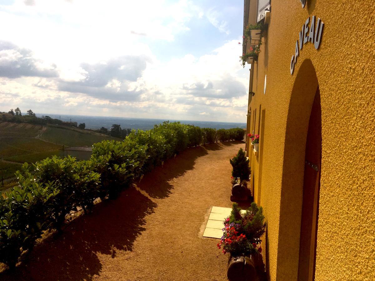 Domaine Du Coteau Des Lys Hotel Fleurie Kültér fotó