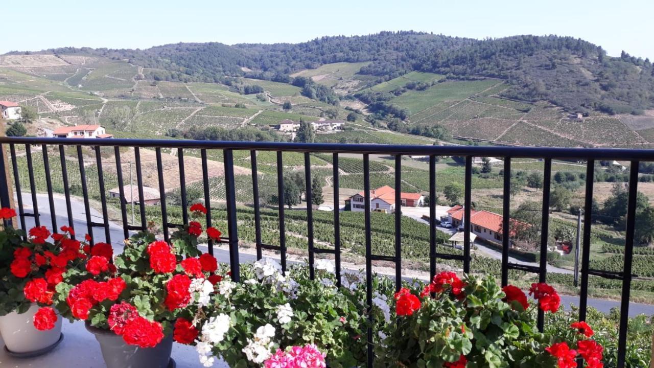 Domaine Du Coteau Des Lys Hotel Fleurie Kültér fotó